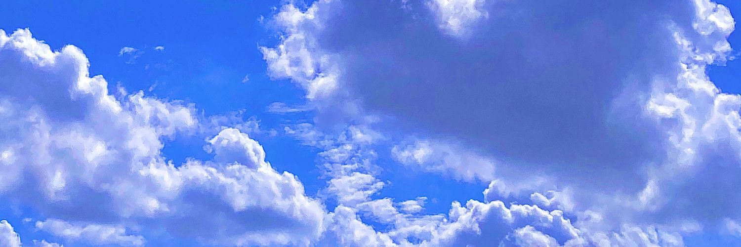 mgncnt's profile banner image