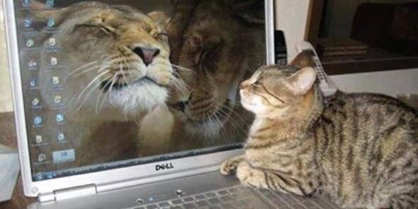 Maria Michaela banner