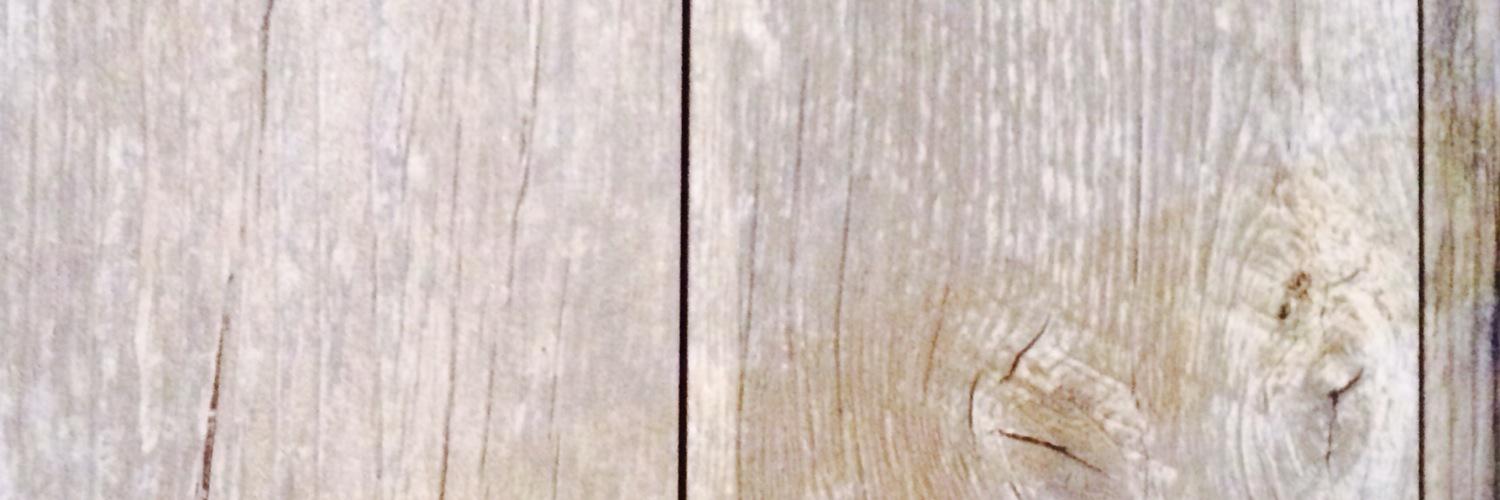 EarnestDonuts's profile banner image