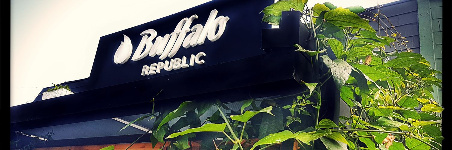 BuffaloRep's profile banner image