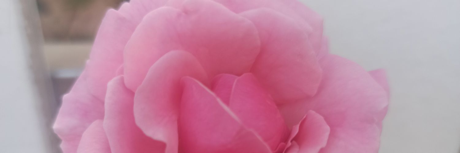 matasaeng's profile banner image
