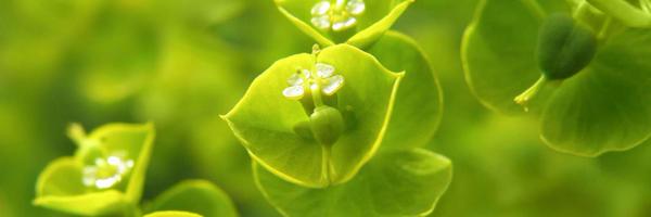 Humanity_4All Profile Banner