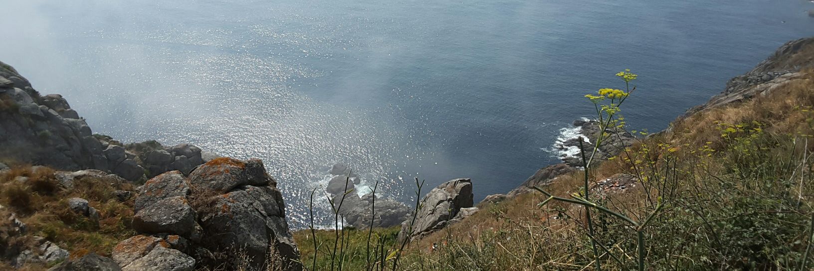 yuynet's profile banner image