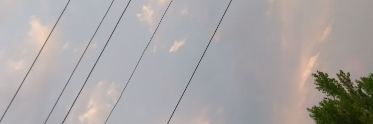 nihansalas's profile banner image
