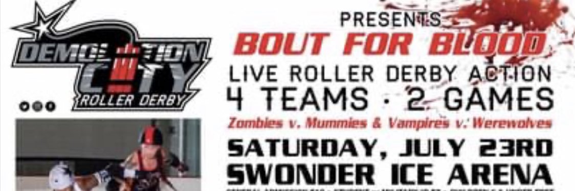 Demolition City Roller derby banner