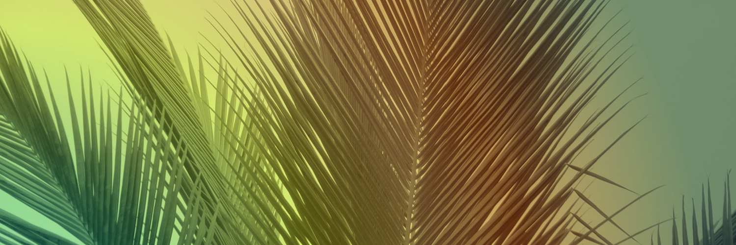 jncs971's profile banner image