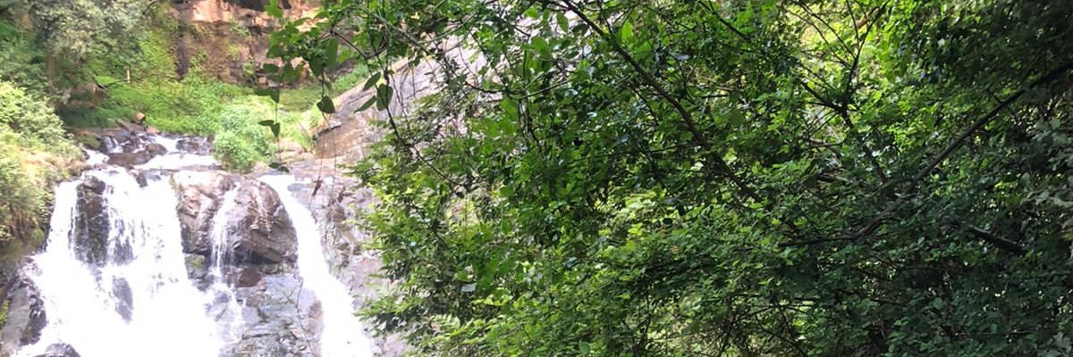 chrissysebe's profile banner image