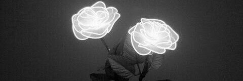 ilv_flower's profile banner image