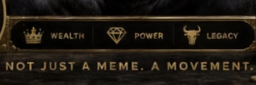 XTiger01's profile banner image