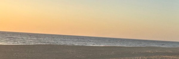 __kdash_ Profile Banner