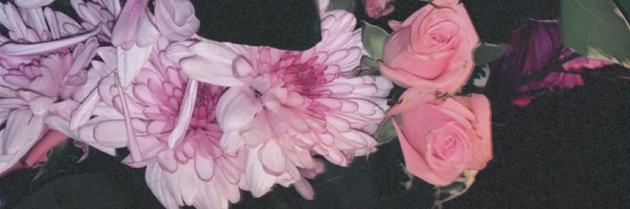 iiv1s's profile banner image