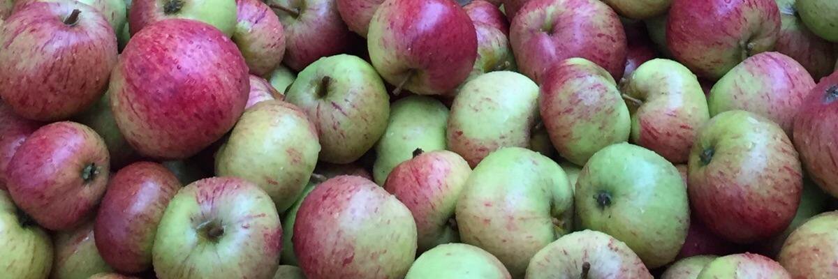 Bottle Kicking Cider banner