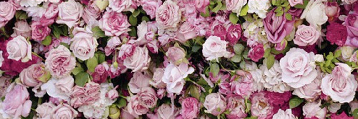 ToriaPhillips's profile banner image