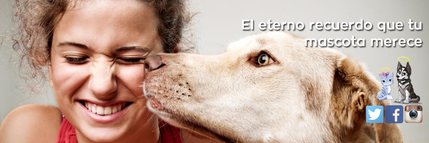 PetsintheSky's profile banner image