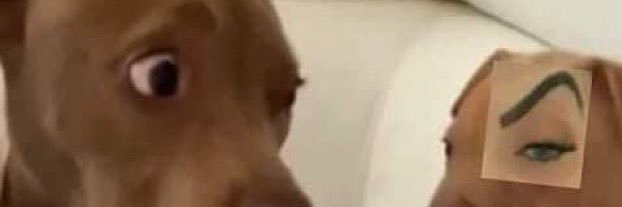priscilauai's profile banner image