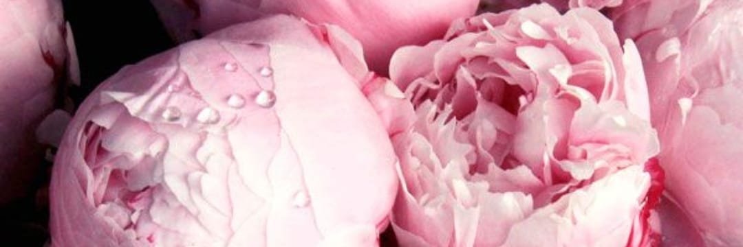 LinSweety's profile banner image