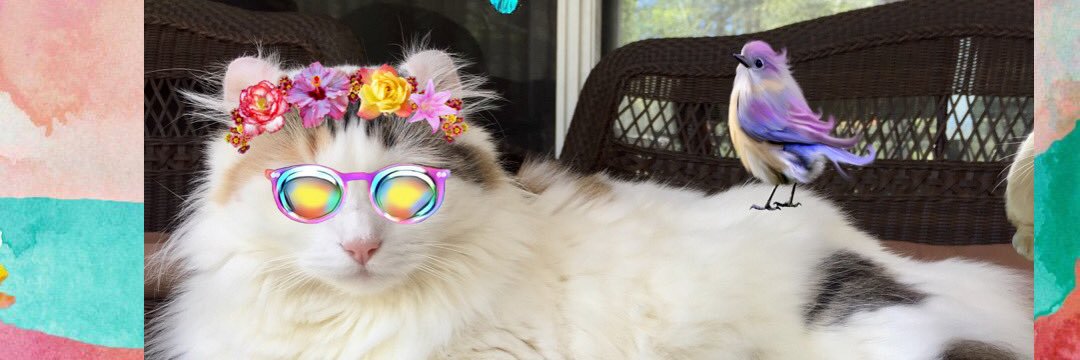 Ginger💕 RIP Chloee🌈💔 banner