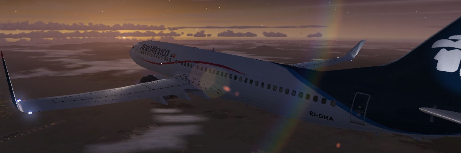 Manuel Salmun banner