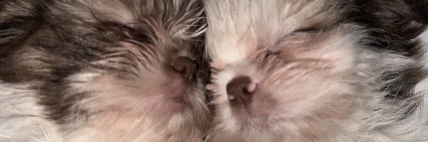 Kleyaa_'s profile banner image