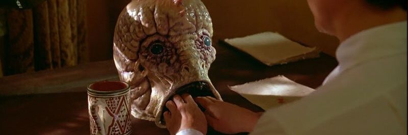 Saul Montaño banner