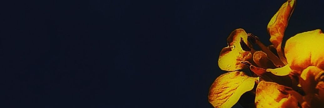 Awara_akela's profile banner image