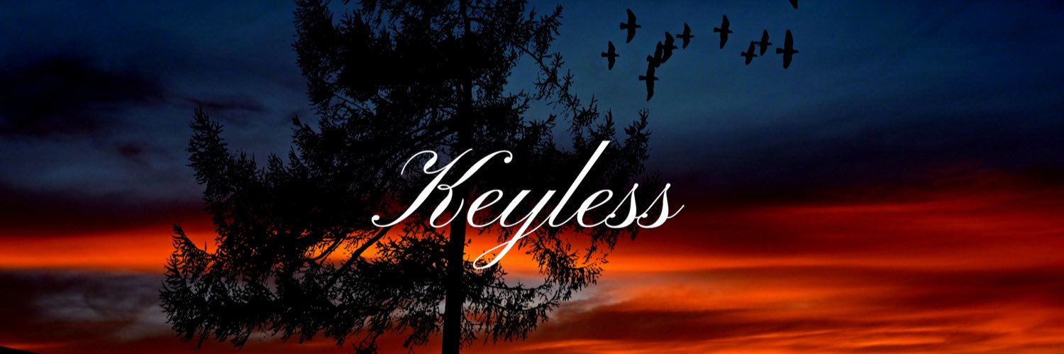 xKeyless's profile banner image