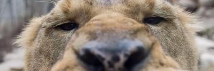 APATUREL1's profile banner image