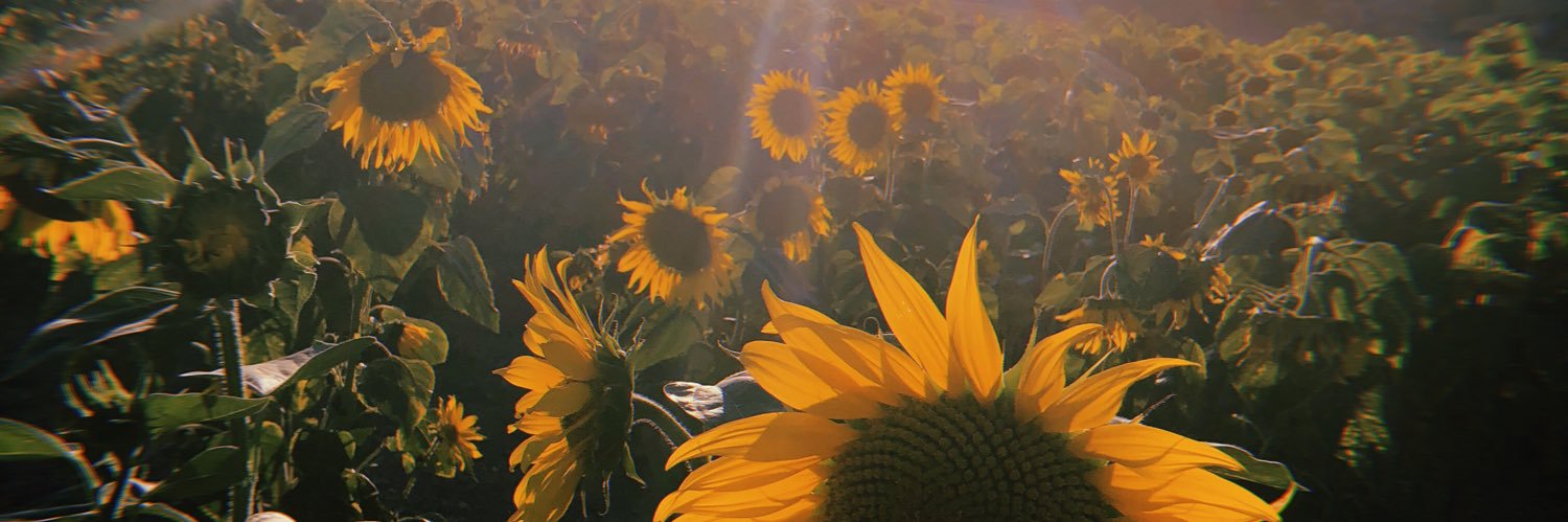 romyvepayne's profile banner image