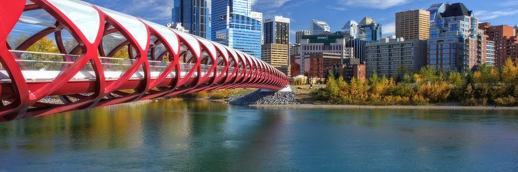 ypecalgary's profile banner image