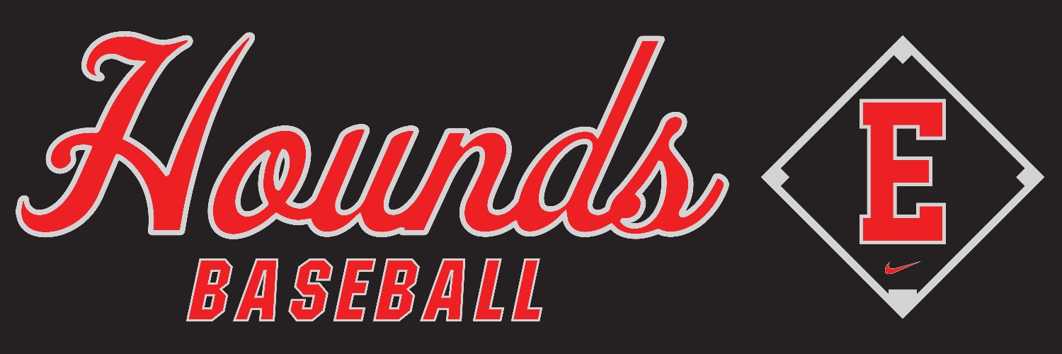 Duluth East Baseball banner