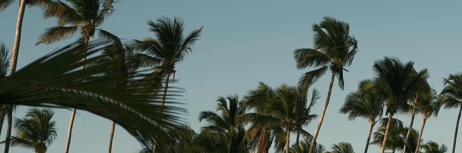 sade_16's profile banner image