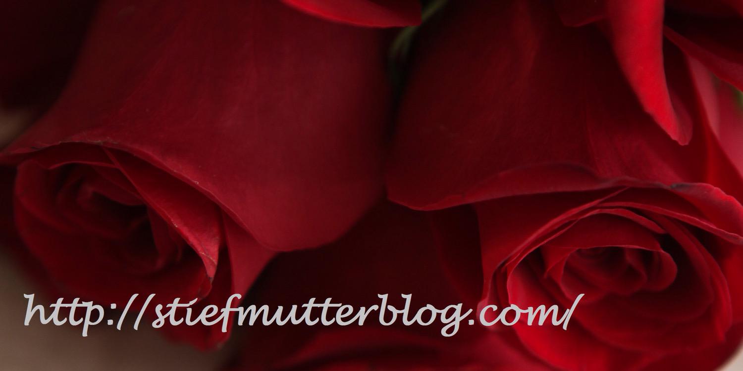 Stiefmutterblog's profile banner image