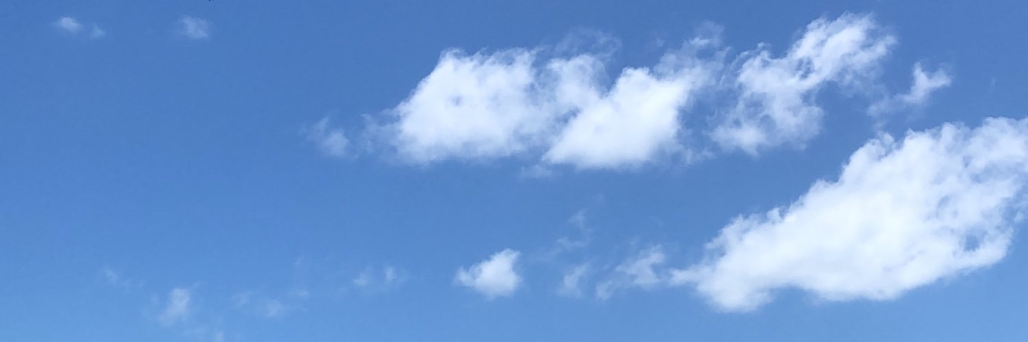 cavixi's profile banner image