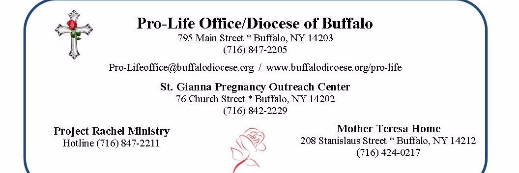 Pro-Life Buffalo banner