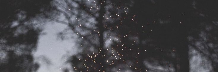 holdforsabrina's profile banner image
