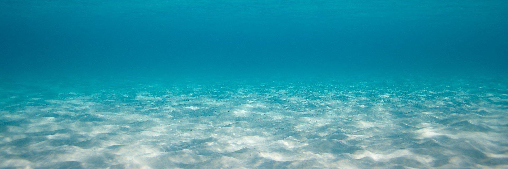manateepwr's profile banner image