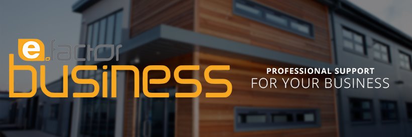 E-Factor Business banner