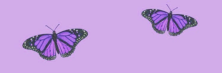 4ccidentvl's profile banner image