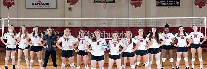 Cardinal Volleyball banner