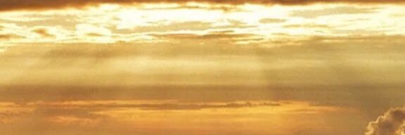 leenell33's profile banner image