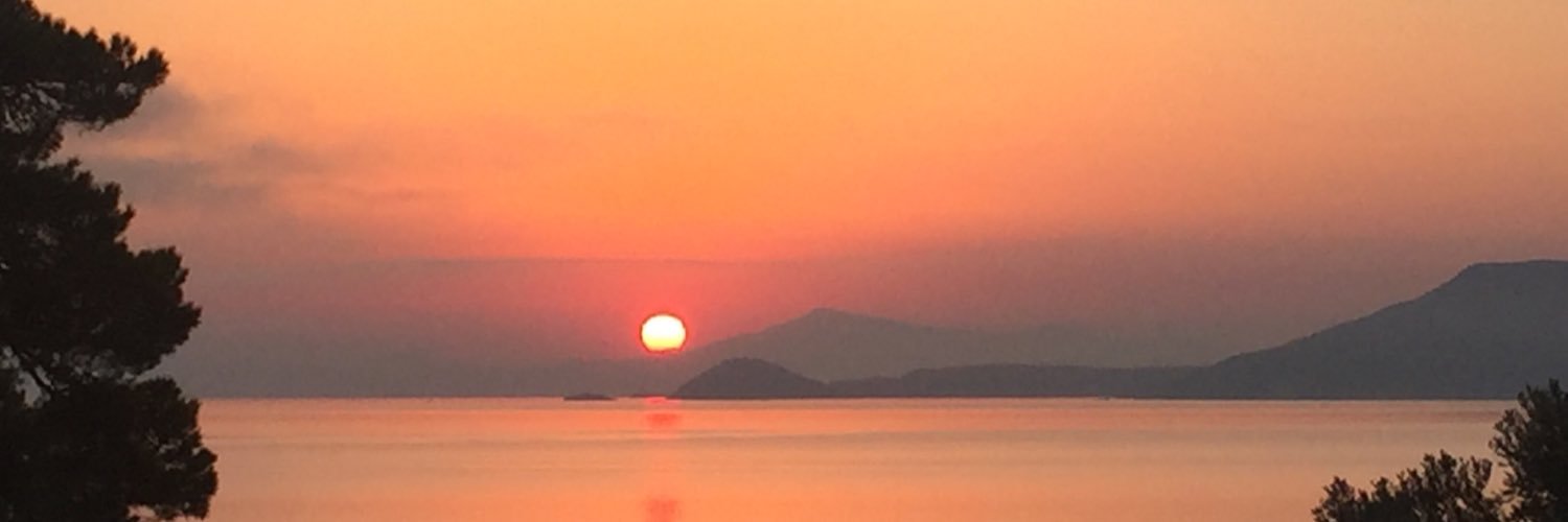 brendasaridakis's profile banner image