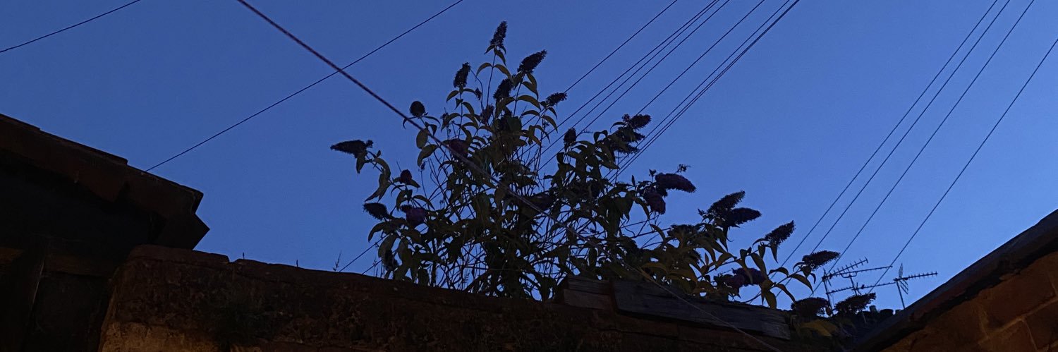 tburrdis's profile banner image