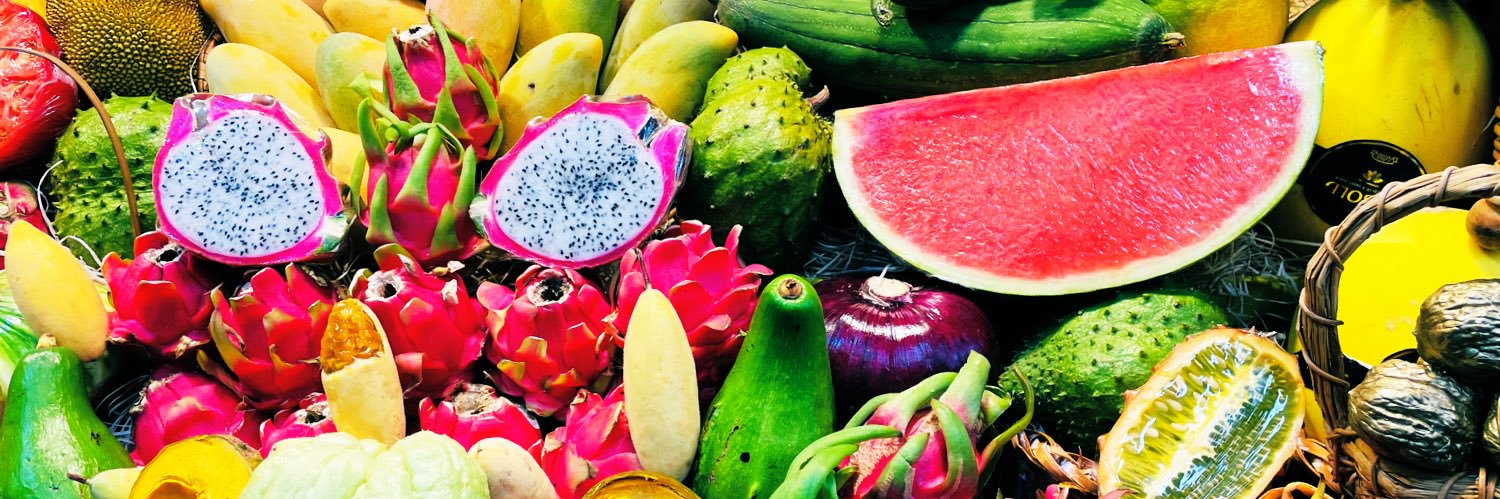 María Torralba banner