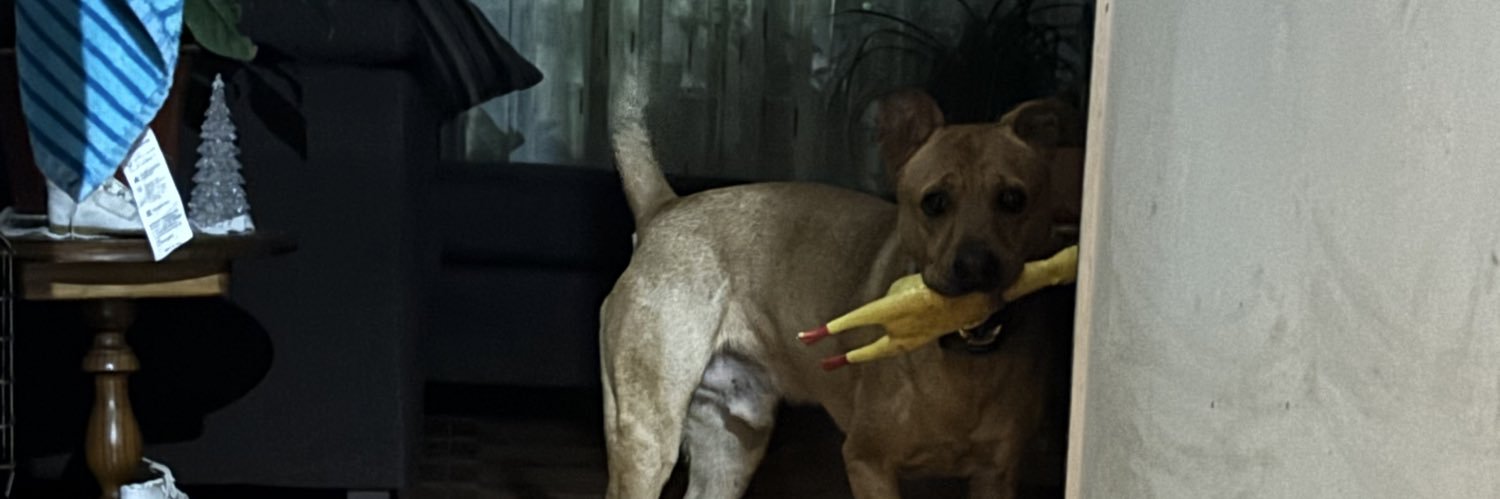 Hugoo banner