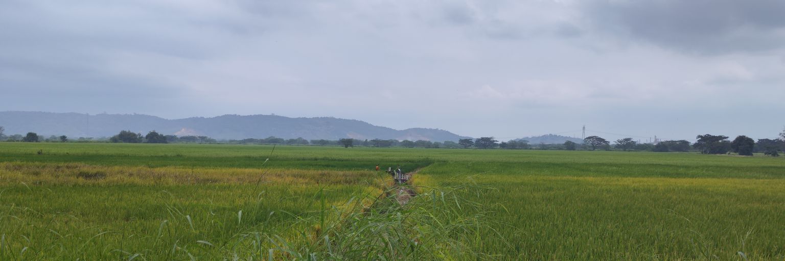 juliovintimilla's profile banner image