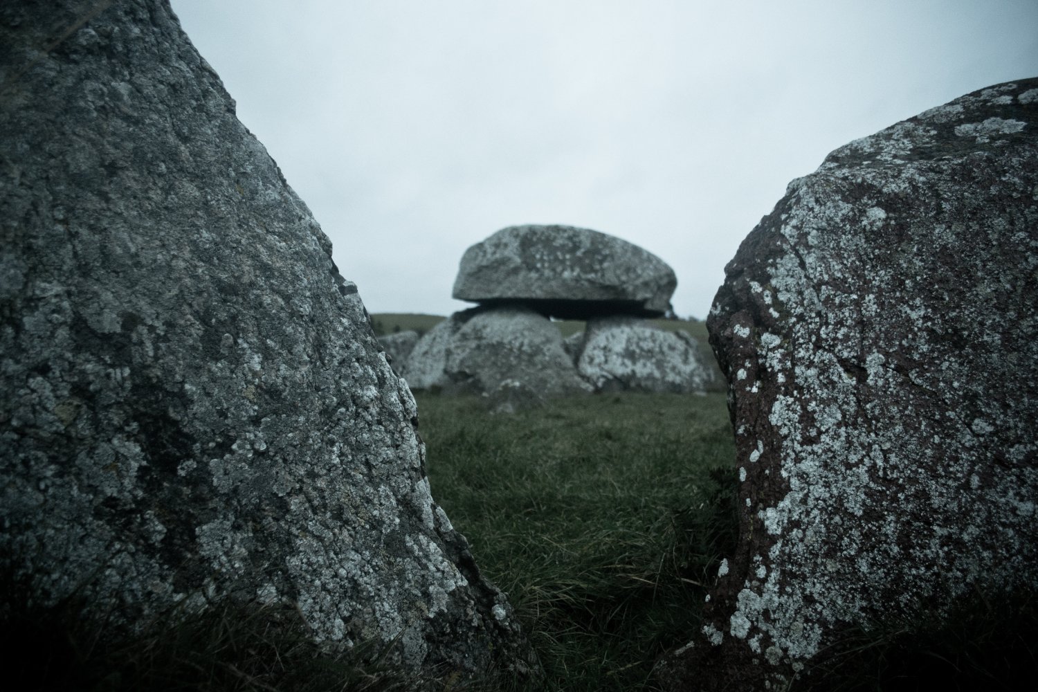 Andrea Ans Anselmo - Die Herrschaft banner