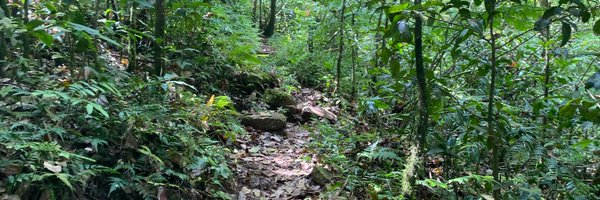 connector_erin Profile Banner