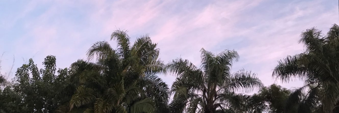 larazabionok's profile banner image