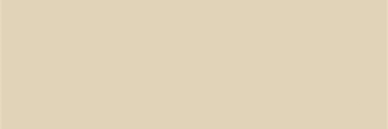 SebahatTurkcan's profile banner image