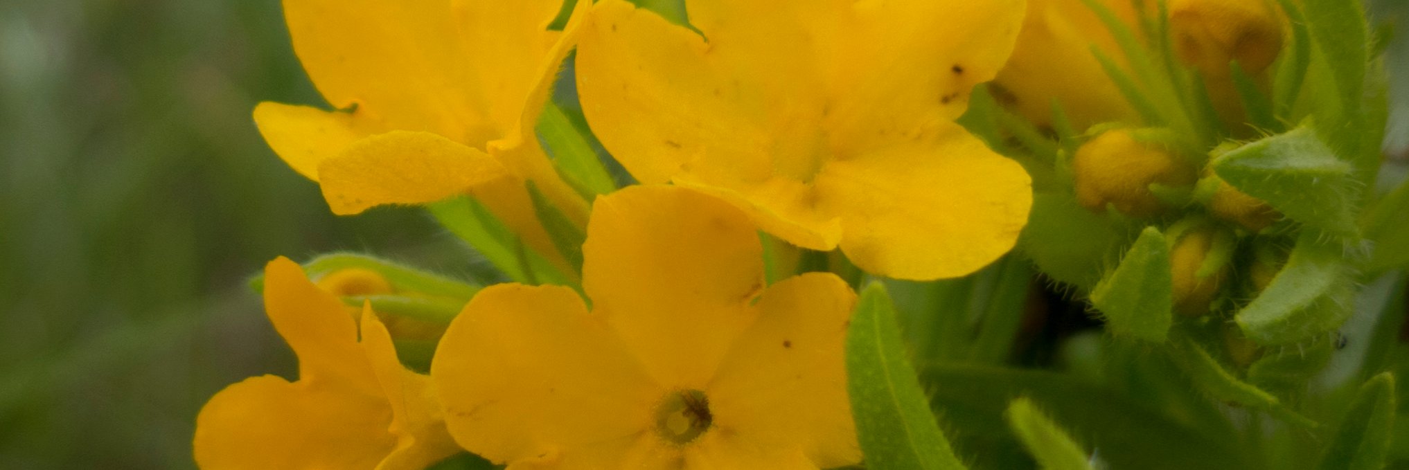 JCConservation's profile banner image